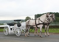 Dream Day Carriages 1077490 Image 0